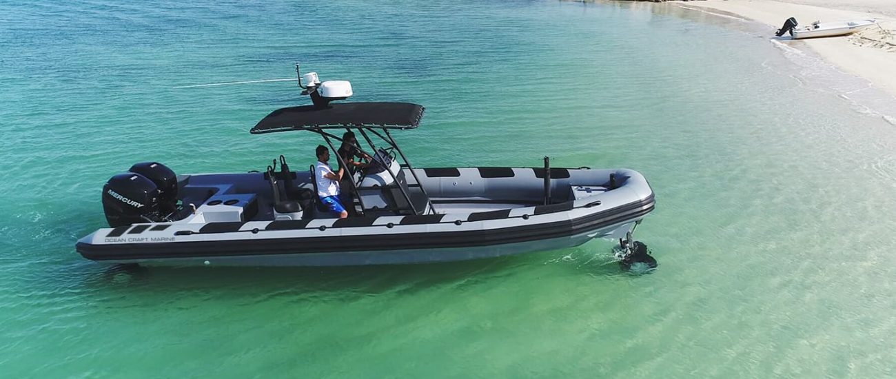 professional amphibious rigid inflatable boat